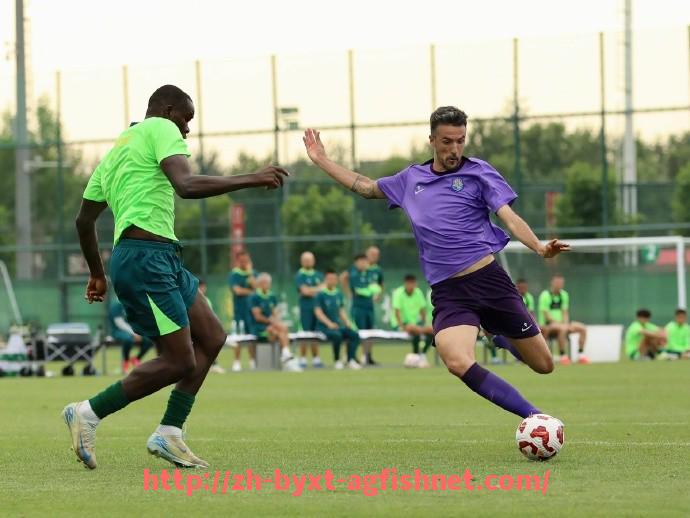 AG捕鱼王官网-法甲外援适应性分析及其在球队战术中的作用