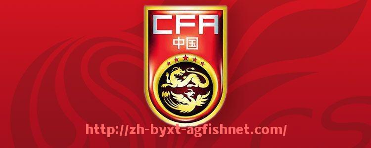 AG捕鱼王官网-世俱杯比赛暂停期间医疗急救措施全流程及应急响应