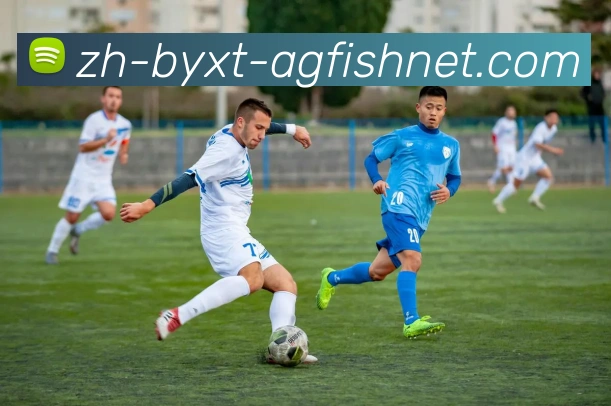 AG捕鱼王官网服务体系